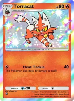 Torracat